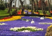  - PLD Travel
